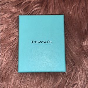 Tiffany & Co. necklace